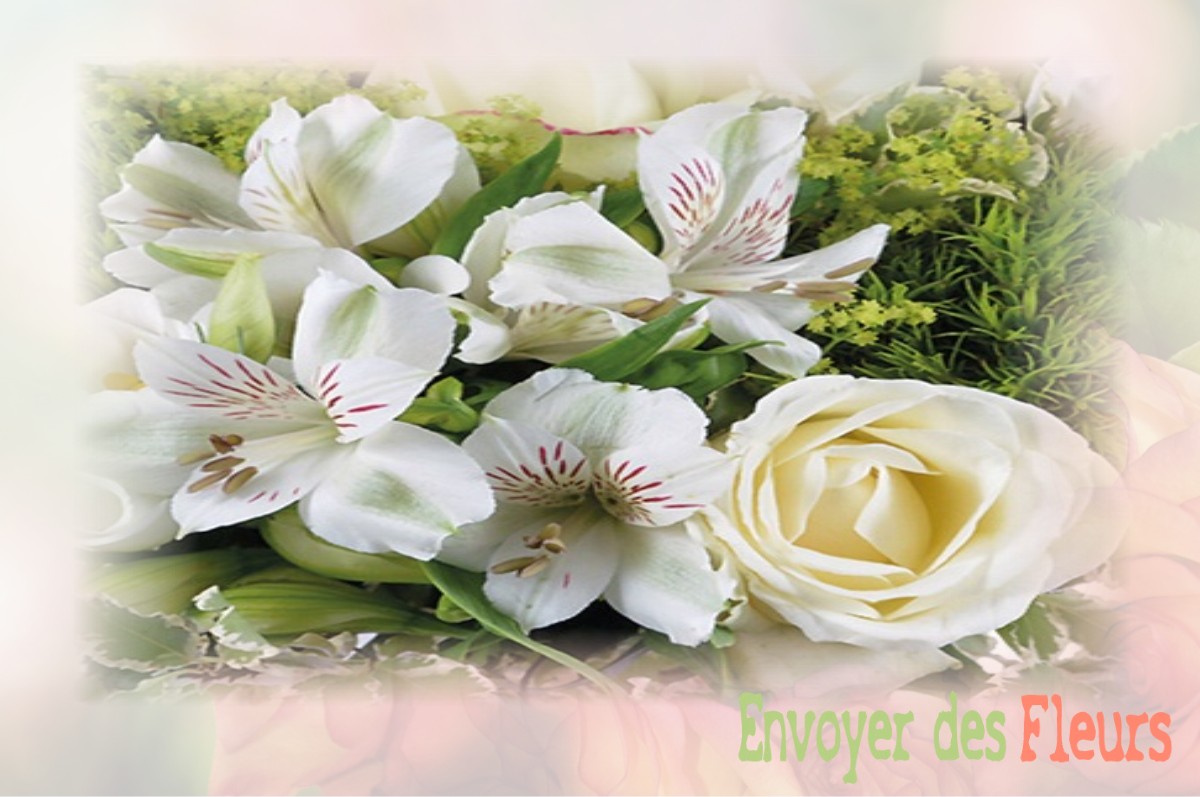 envoyer des fleurs à à SAINT-ETIENNE-DE-CHOMEIL